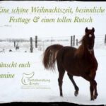 * Winterpause vom 18.12.21 bis 09.01.22 *